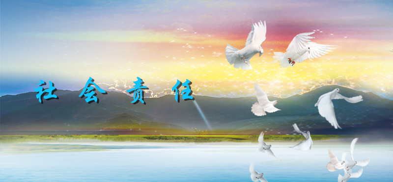 社會(huì )責任1.jpg